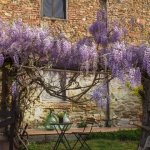 Agriturismo Pane e Vino Toscana